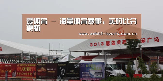 案例标题十