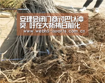 爱体育APP